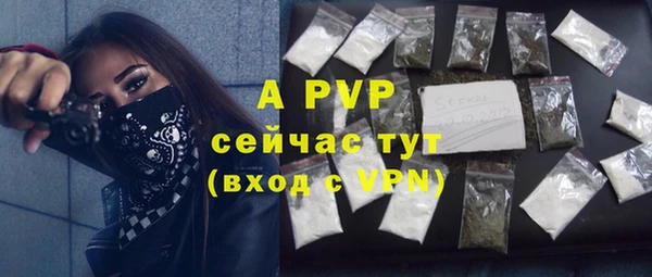 mdpv Белокуриха