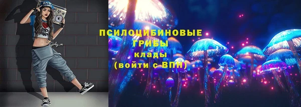 mdpv Белокуриха