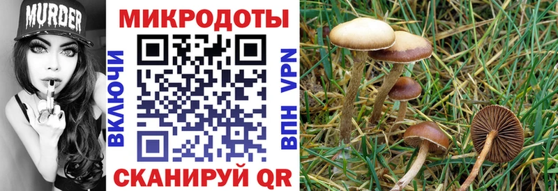 Галлюциногенные грибы мицелий  Купить закладки  Сычёвка 